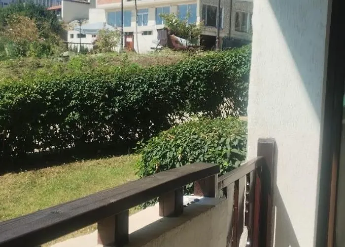 етъра - 2 Rey&mar влас * 圣弗拉斯