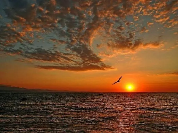 етъра - 2 Rey&mar влас 公寓 圣弗拉斯